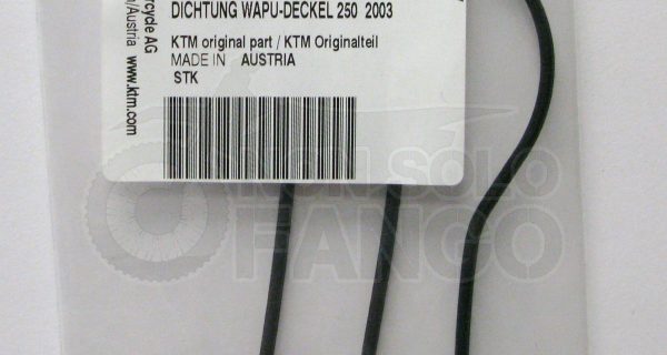 Guarnizione coperchio pompa acqua KTM EXC 250 300 dal 2004 al 2016