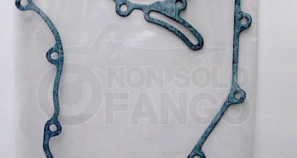 Guarnizione coperchio volano KTM Duke RC 125 200 dal 2011 al 2016