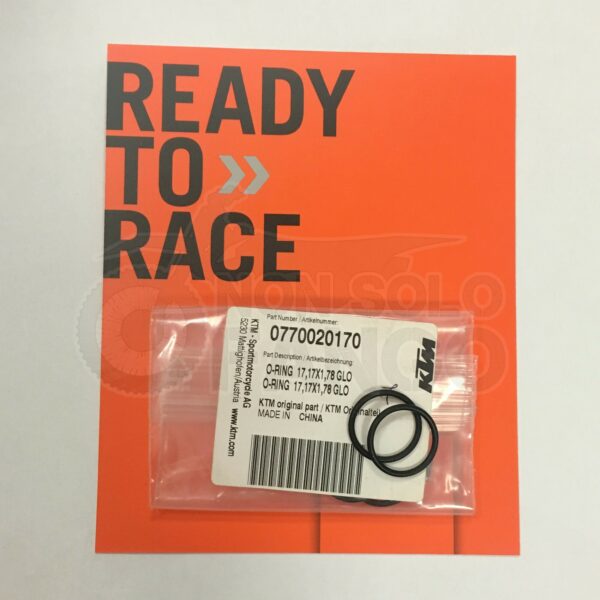 O-Ring Tappo a vite M20x1,5 CH.13