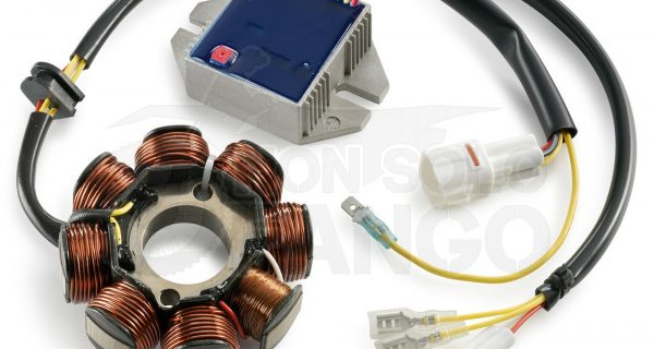 Kit statore per faro supplementare X2 EXC 4 tempi dal 2007 al 2011