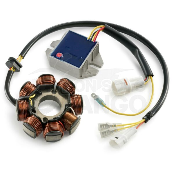 Kit statore per faro supplementare X2 EXC 2 tempi