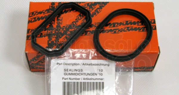 Kit guarnizioni benzina 250 SX-F 690 Duke Enduro SMC