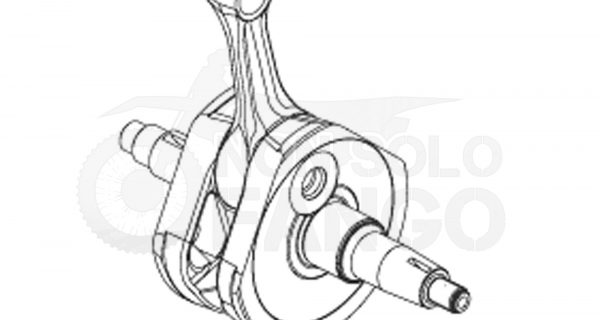 Albero motore EXC-F 250 dal 2006 al 2011