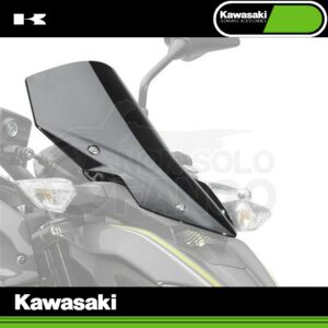 Parabrezza Fumè Z 900 MY 2017