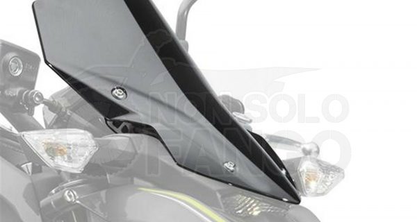 Parabrezza Fumè Kawasaki Z 900 MY2017/2019