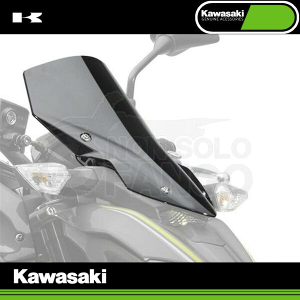 Parabrezza Fumè Z 900 MY 2017