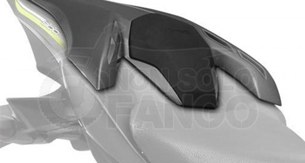 Coprisella posteriore Pearl Mystic Grey Kawasaki Z 900