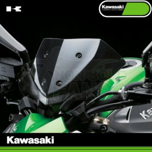 Parabrezza Fumè Kawasaki Z 1000 MY 2017