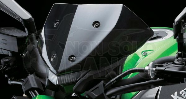 Parabrezza Fumè Kawasaki Z 1000 MY 2017