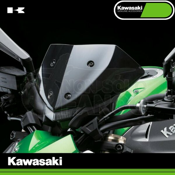 Parabrezza Fumè Kawasaki Z 1000 MY 2017