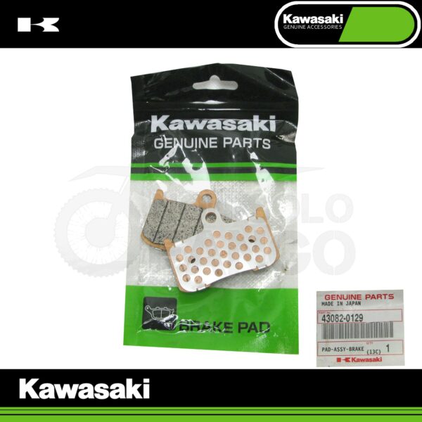 Coppia pastiglie freno anteriore Kawasaki Z 800