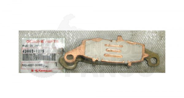 Coppia pastiglie freno anteriore Kawasaki ER-5 dal 2001 al 2005