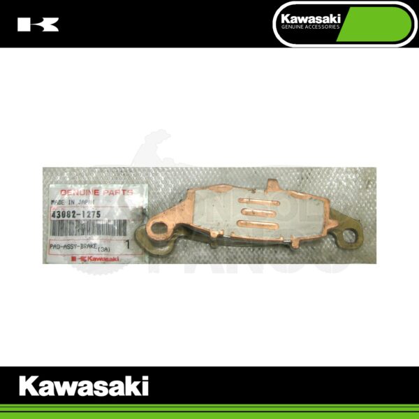 Coppia pastiglie freno anteriore Kawasaki ER-5 dal 2001 al 2005