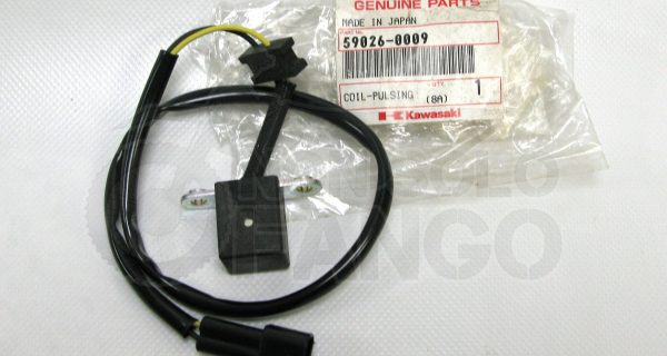 Pick-Up Kawasaki Ninja ZX-10R dal 2004 al 2007