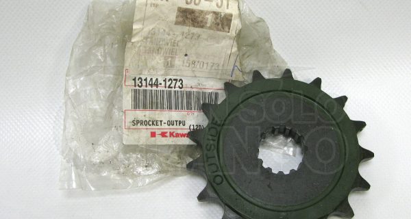 Pignone Z 17 Kawasaki ER-5 e KLE 500