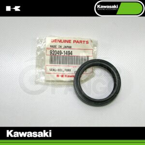 Paraolio forcella Kawasaki ZR-7 dal 1999 al 2003