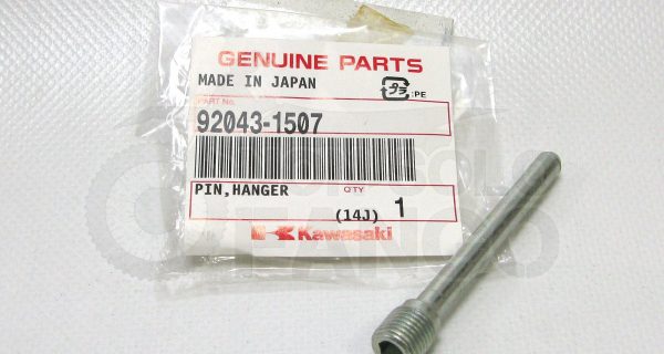 Perno pastiglie freno posteriore Kawasaki KX