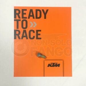 Vite M6x13 CH.8 fissaggio disco freno KTM EXC SX