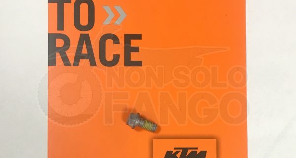 Vite M6x13 CH.8 fissaggio disco freno KTM EXC SX