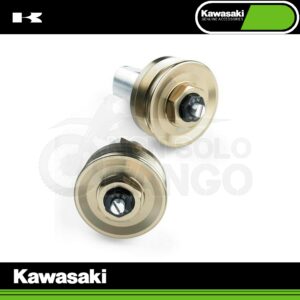 Tappi forcella regolabili color oro Kawasaki Z 900 RS