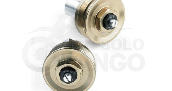 Tappi forcella regolabili color oro Kawasaki Z 900 RS