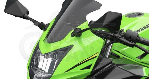 Parabrezza fumè Kawasaki Ninja 125