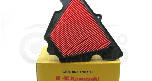 Filtro aria Kawasaki Versys 1000 Z 1000 Z 1000 SX
