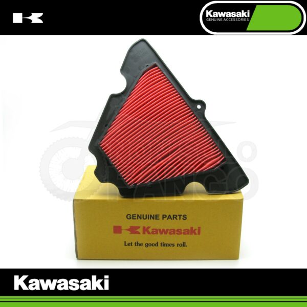 Filtro aria Kawasaki Versys 1000 Z 1000 Z 1000 SX