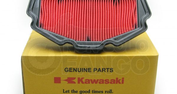 Filtro aria Kawasaki Versys 650 – Ninja 650 – Vulcan S – Z 650