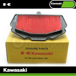 Filtro aria Kawasaki Ninja 400 da 2018 al 2019