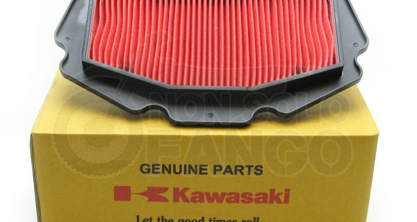 Filtro aria Kawasaki Ninja 400 da 2018 al 2019