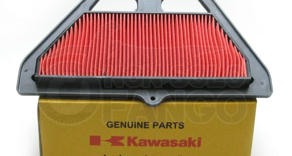 Filtro aria Kawasaki Z 900 dal 2017 al 2018