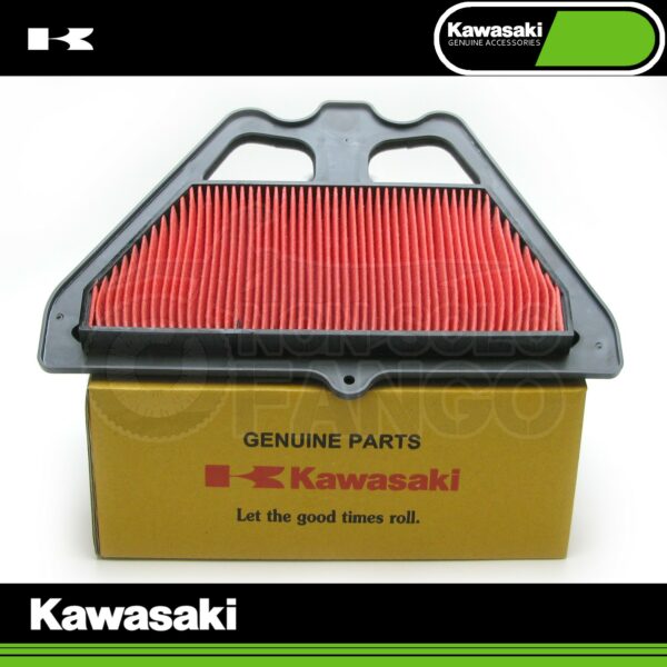 Filtro aria Kawasaki Z 900 dal 2017 al 2018