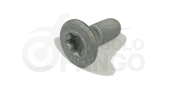 Vite M8X20 Torx T-45 Testa svasata