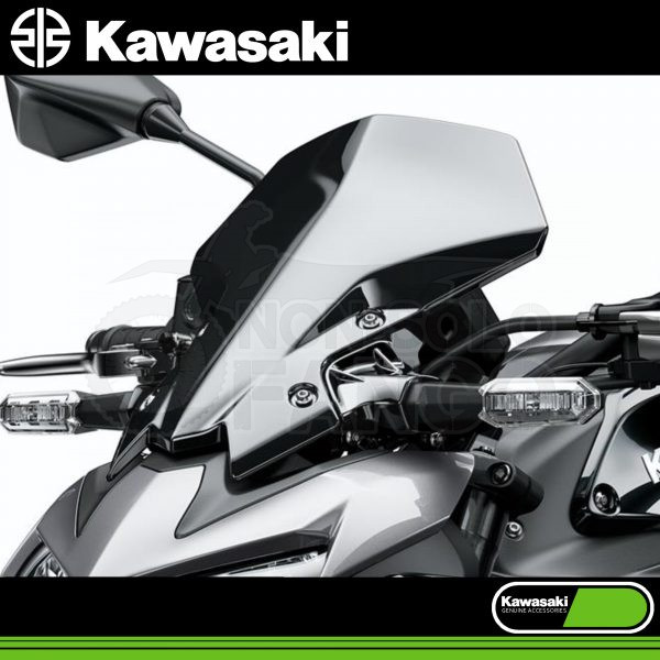 Parabrezza maggiorato Fumè Kawasaki Z 900 MY2020/2023