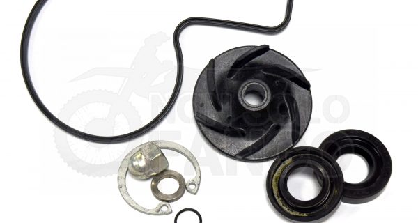 KIT RIPARAZIONE POMPA ACQUA KTM 125/390 DUKE RC 2012/2016